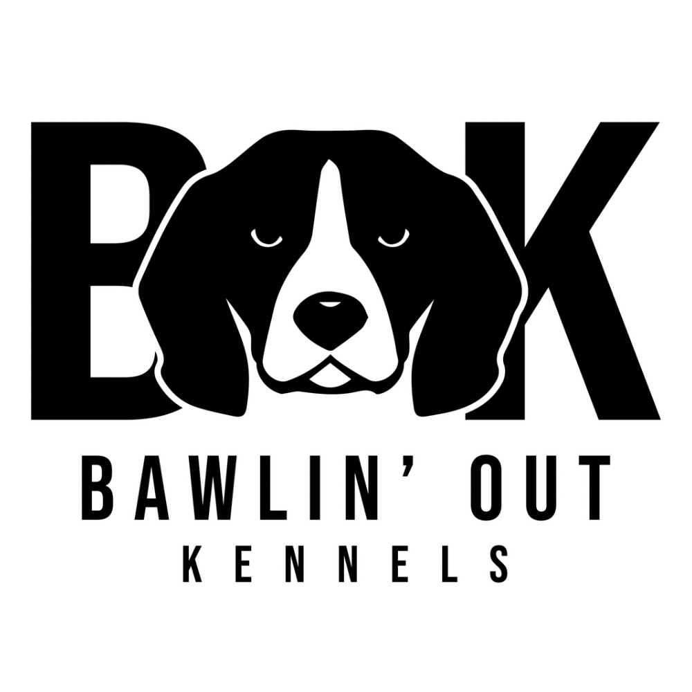 Rabbit Dog Starter Bundle – Book + 3 Bonus Audios