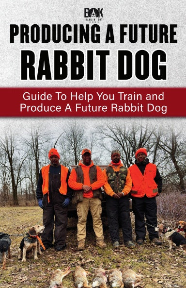 Book Cover Variant Thumbnail